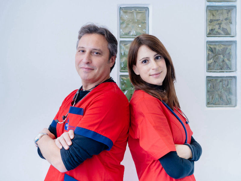 Veterinario Team di Lavoro  - Veterinario Visita Specialistica Cane Druento