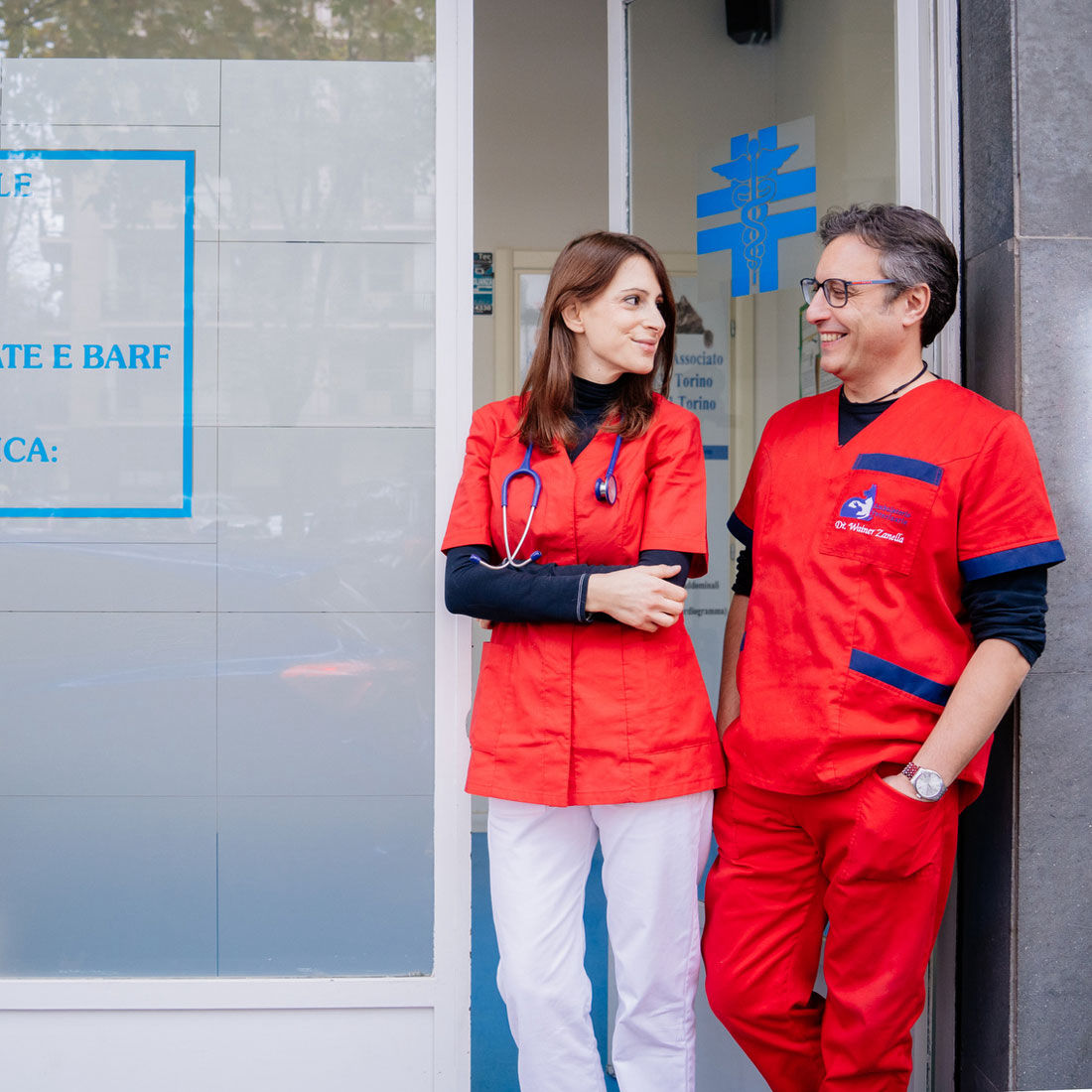 Veterinario Zanella Concu *azione**cosa* *dove*